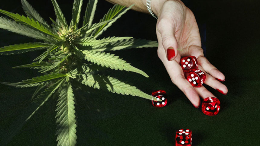 Cannabis Problem Gambling