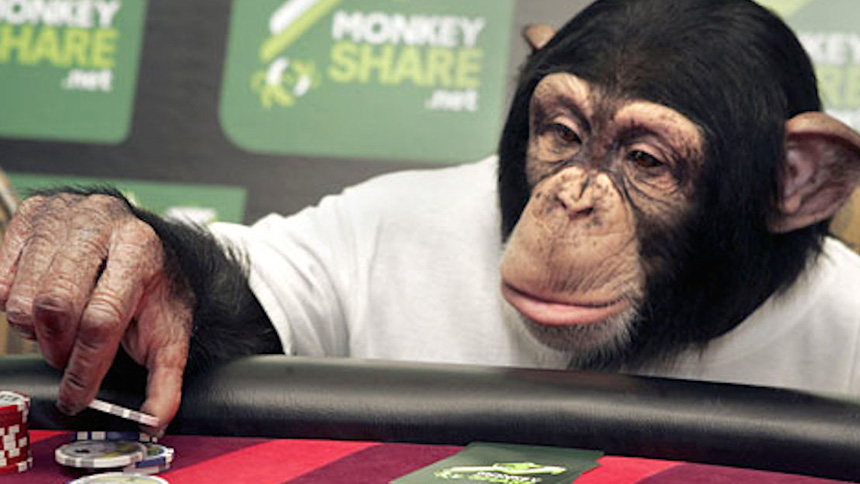 Gambling Monkeys